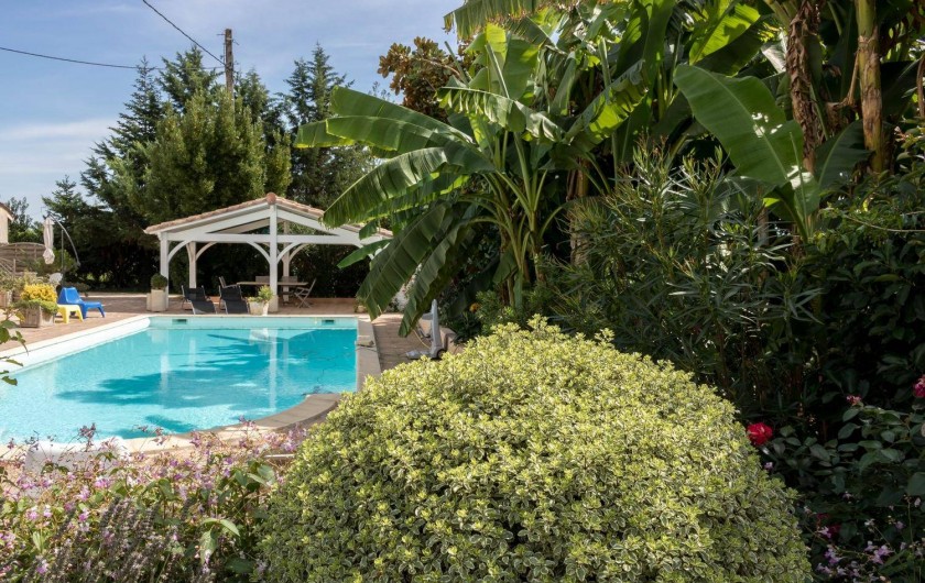 Location de vacances - Gîte à Lherm - Vue piscine dans son cadre de verdure