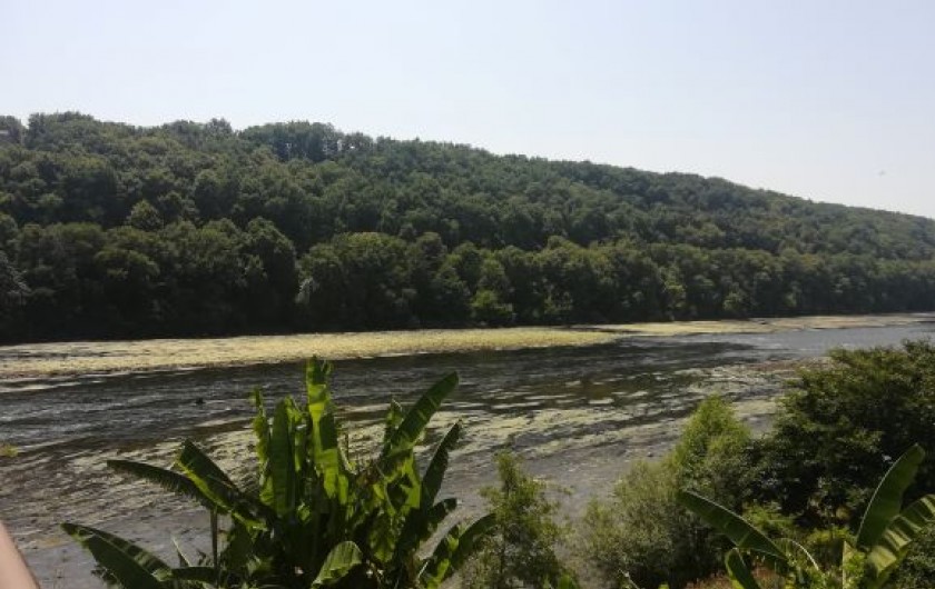 Location de vacances - Chambre d'hôtes à Saint-Avit-Sénieur - La Dordogne est à côté