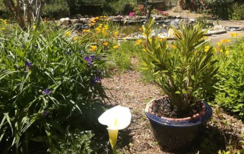 Location de vacances - Chambre d'hôtes à Saint-Avit-Sénieur - Le jardin