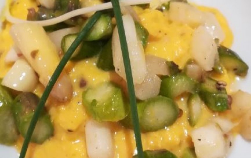 Location de vacances - Chambre d'hôtes à Saint-Avit-Sénieur - Asperges