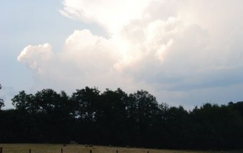 Location de vacances - Chambre d'hôtes à Saint-Avit-Sénieur - La nature est notre voisin ....