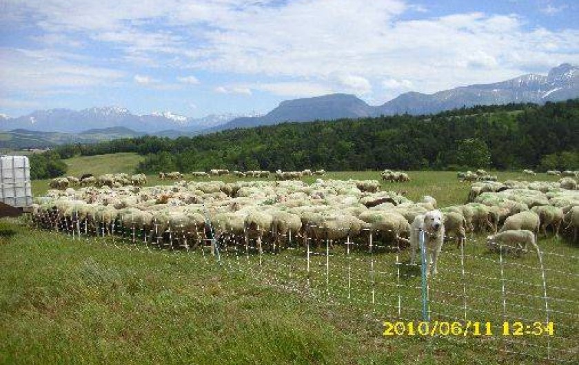 Location de vacances - Gîte à Tréminis
