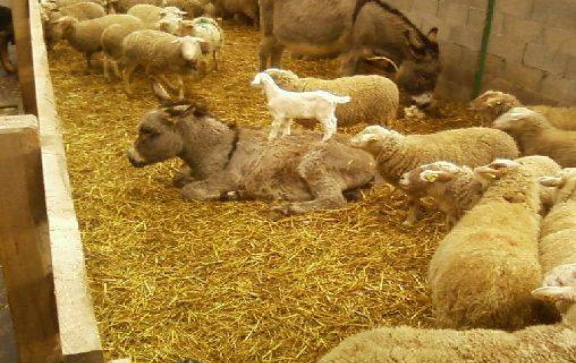 Location de vacances - Gîte à Tréminis