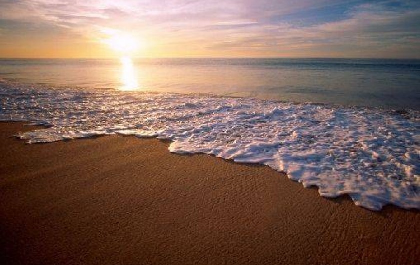 Location de vacances - Appartement à Donville-les-Bains