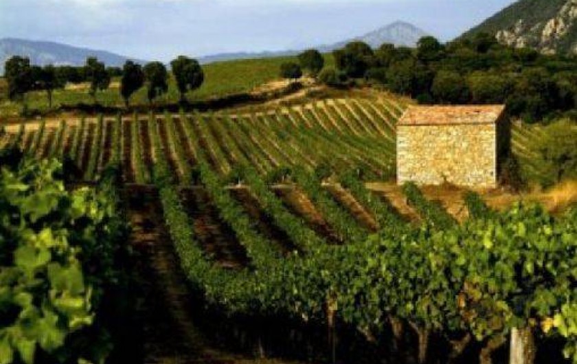 Location de vacances - Gîte à Tulette