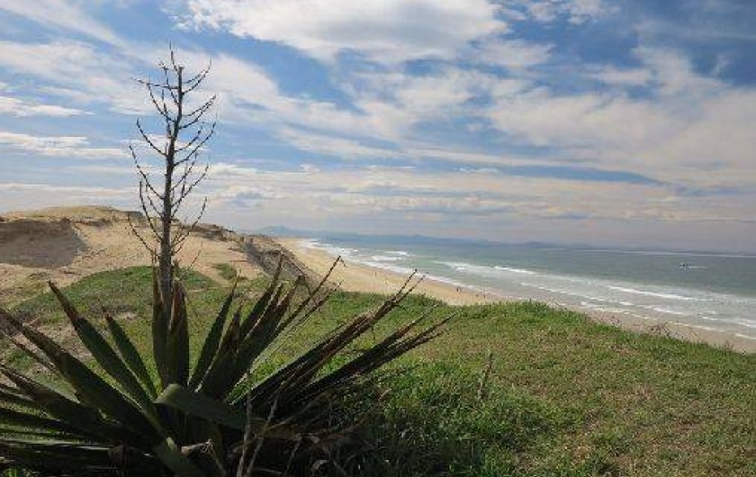 Location de vacances - Villa à Capbreton