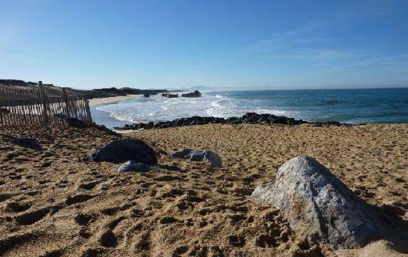 Location de vacances - Villa à Capbreton
