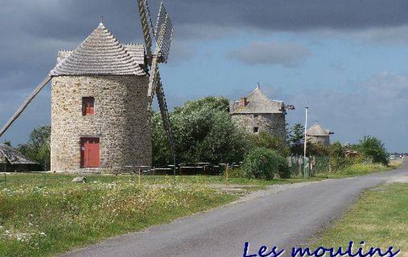 Location de vacances - Gîte à Cherrueix - moulins