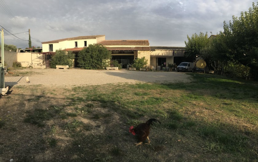 Location de vacances - Gîte à Montfrin