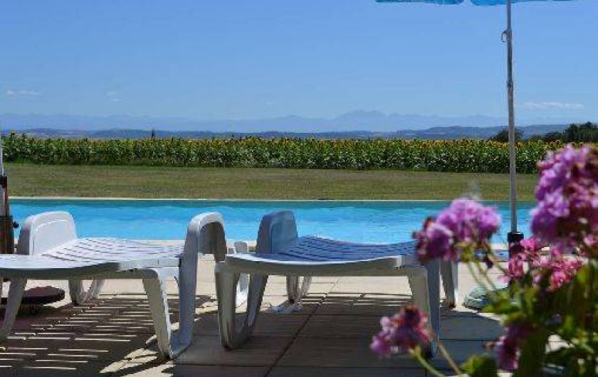 Location de vacances - Gîte à Saint-Papoul