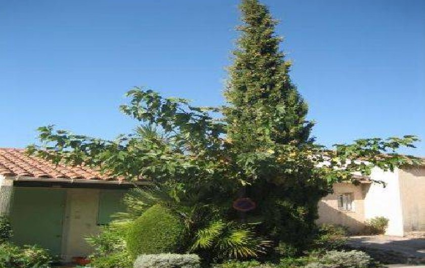 Location de vacances - Maison - Villa à Saint-Raphaël