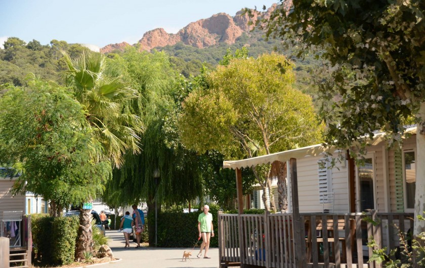 Location de vacances - Bungalow - Mobilhome à Agay
