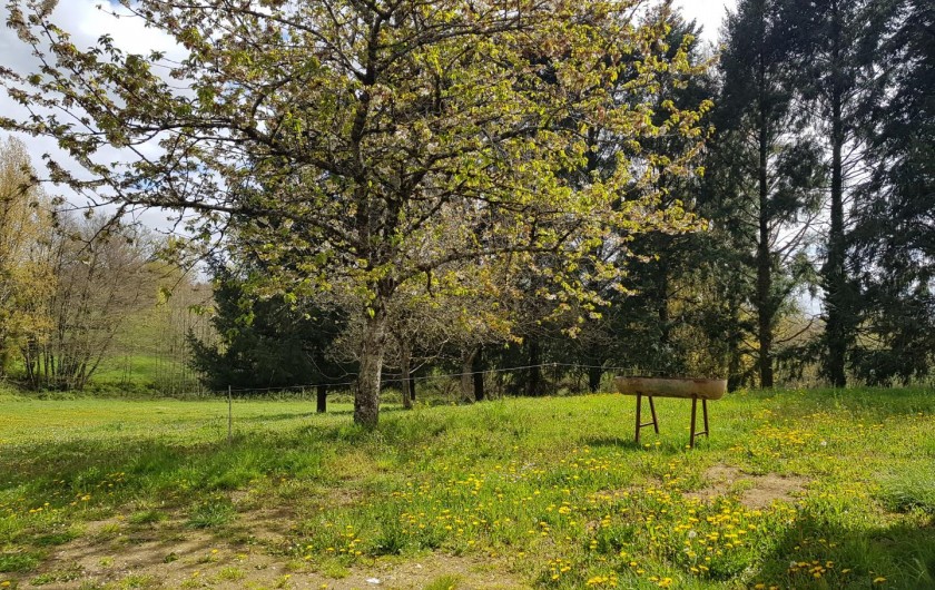 Location de vacances - Gîte à Saint-Clément