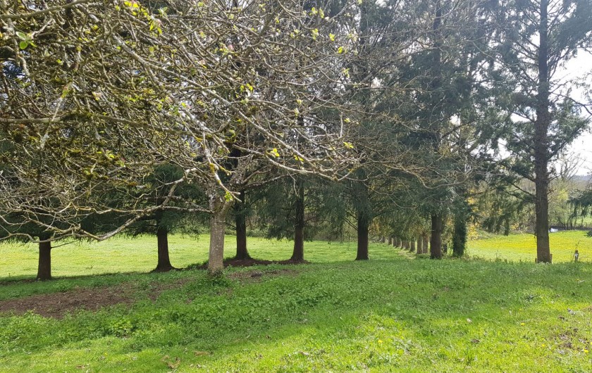 Location de vacances - Gîte à Saint-Clément