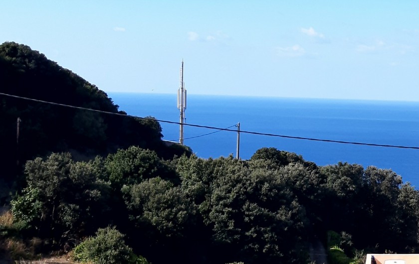 Location de vacances - Appartement à Morsiglia - JARDIN VUE MER