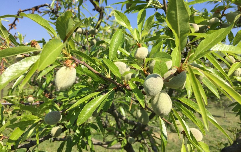 Location de vacances - Gîte à Rognes