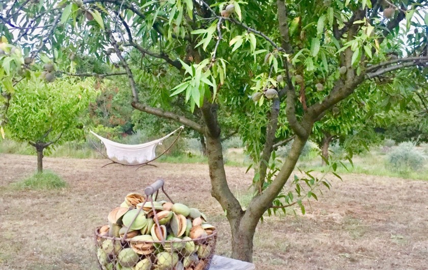 Location de vacances - Gîte à Rognes