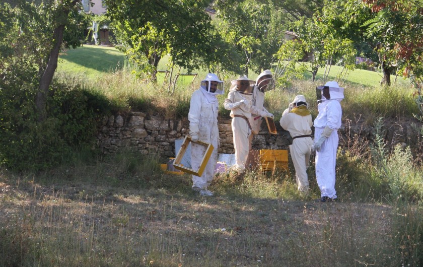 Location de vacances - Gîte à Rognes