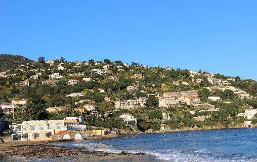 Location de vacances - Appartement à Le Lavandou