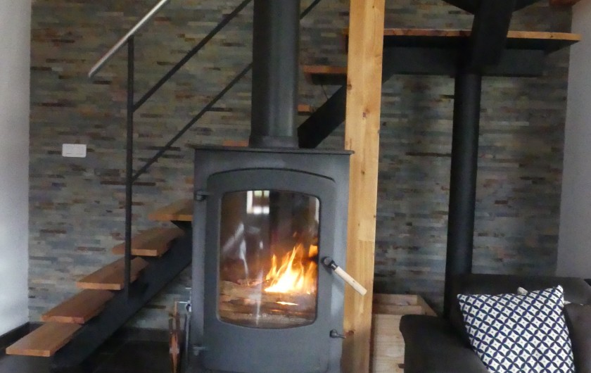 Location de vacances - Maison - Villa à Astugue - Poêle pour se réchauffer l'hiver