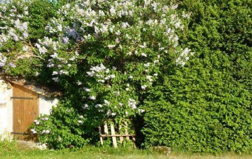 Location de vacances - Gîte à Sérignac