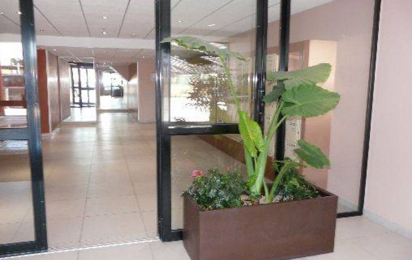 Location de vacances - Studio à Canet-en-Roussillon