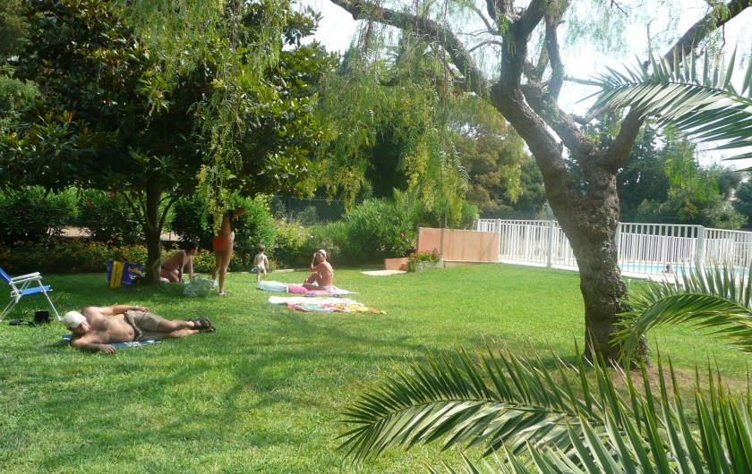 Location de vacances - Appartement à Juan les Pins - le jardin de la piscine