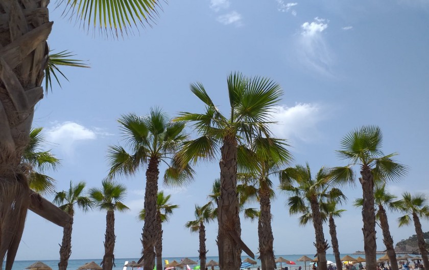 Location de vacances - Appartement à Oropesa del Mar - plages de sable fin à 150 mètres de la location