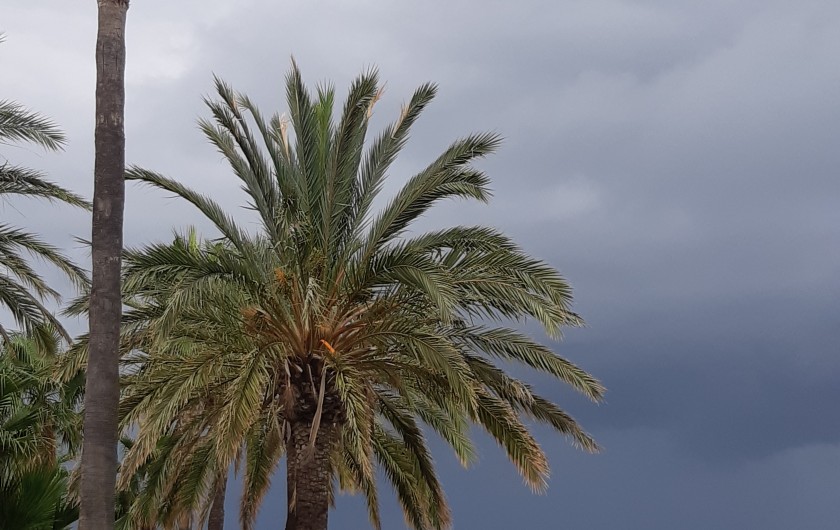 Location de vacances - Appartement à Oropesa del Mar