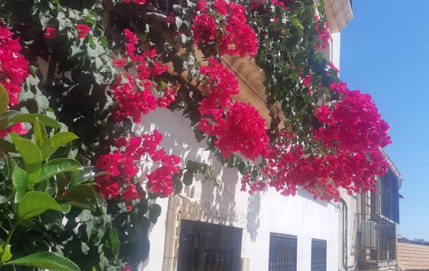 Location de vacances - Appartement à Oropesa del Mar - Centre historique d'Oropesa del Mar