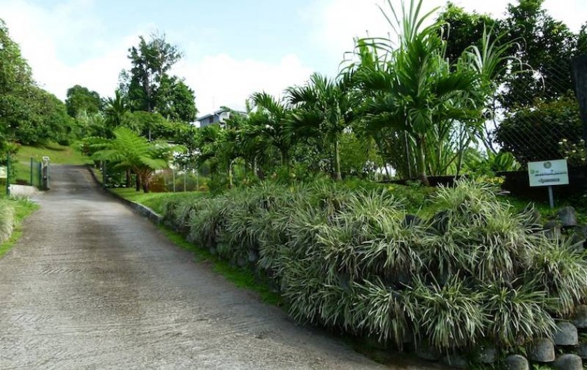 Location de vacances - Villa à Gros-Morne - Chemin privé d'accès