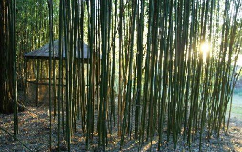 Location de vacances - Gîte à Faymoreau