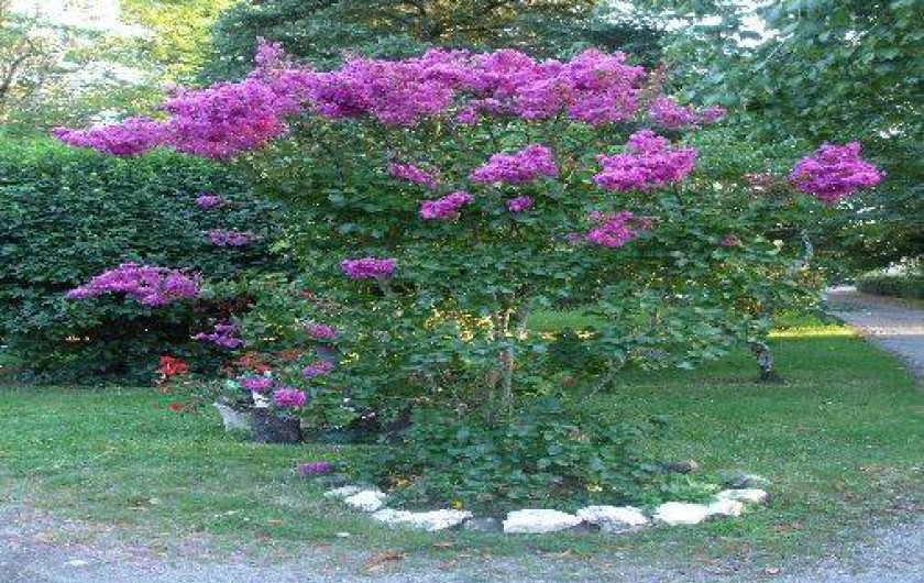 Location de vacances - Gîte à Faymoreau