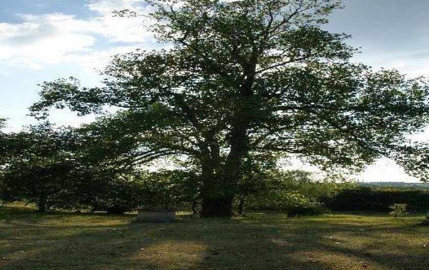 Location de vacances - Gîte à Faymoreau
