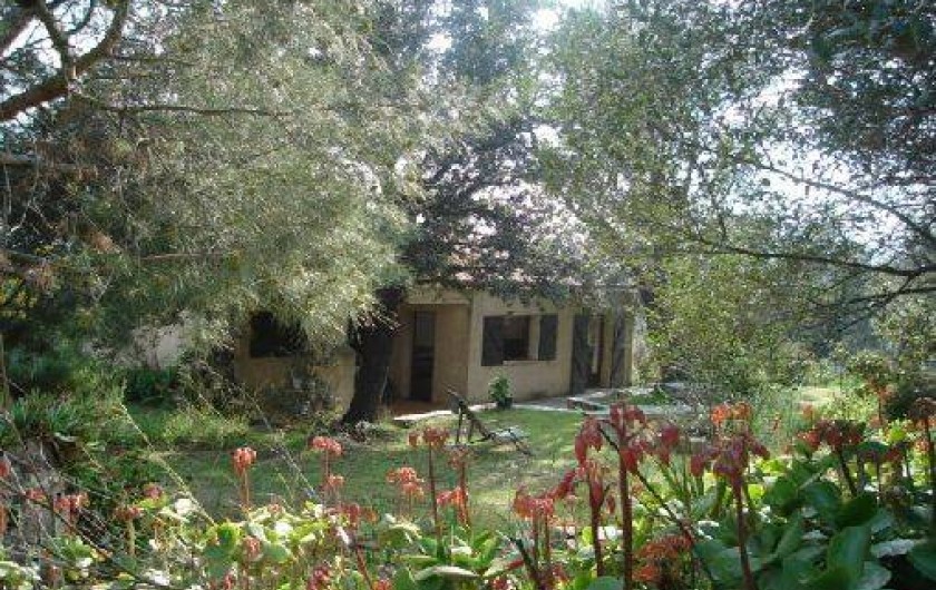 Location de vacances - Villa à Speloncato