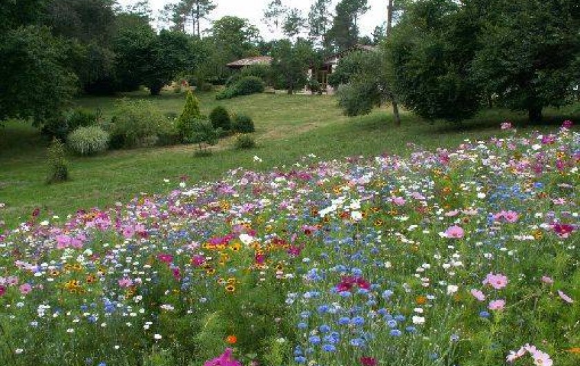 Location de vacances - Gîte à Bernos-Beaulac