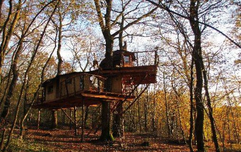 Location de vacances - Cabane dans les arbres à Ranchot