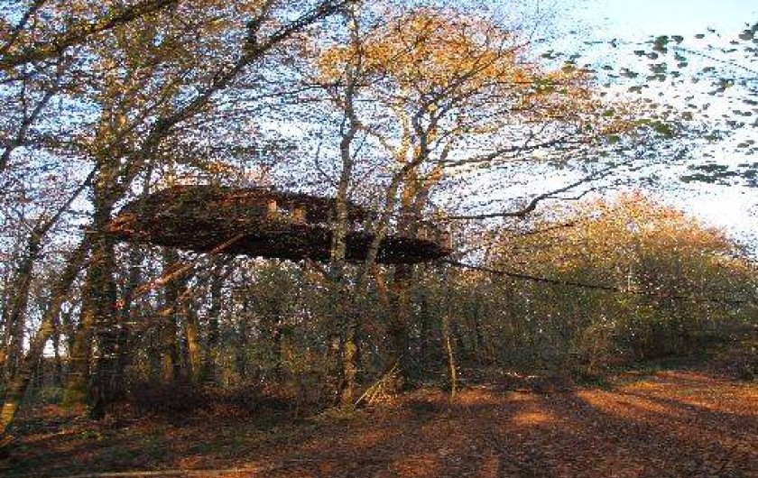 Location de vacances - Cabane dans les arbres à Ranchot