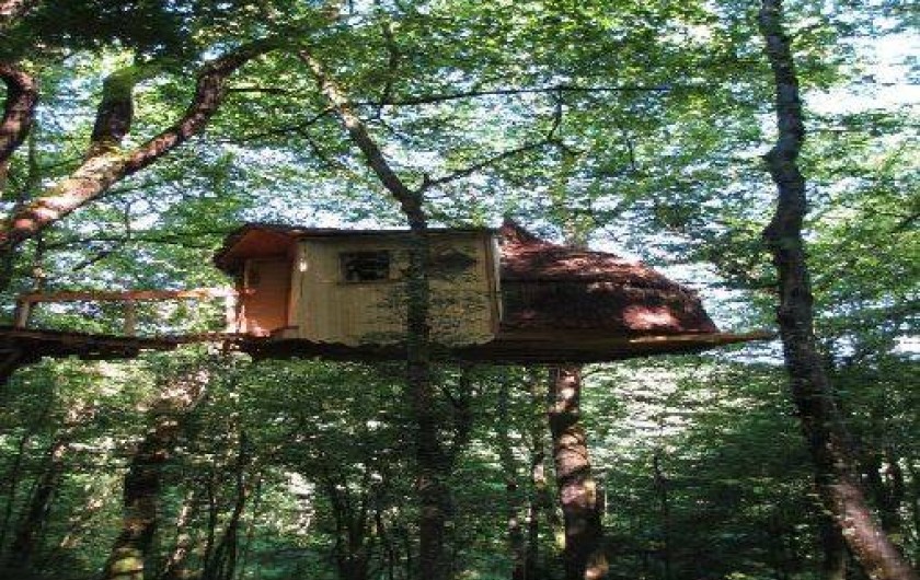 Location de vacances - Cabane dans les arbres à Ranchot