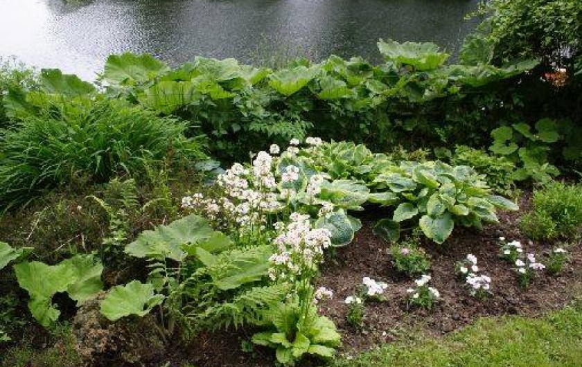 Location de vacances - Gîte à Canihuel