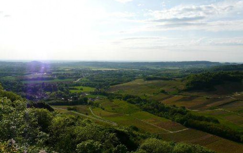Location de vacances - Maison - Villa à Picarreau