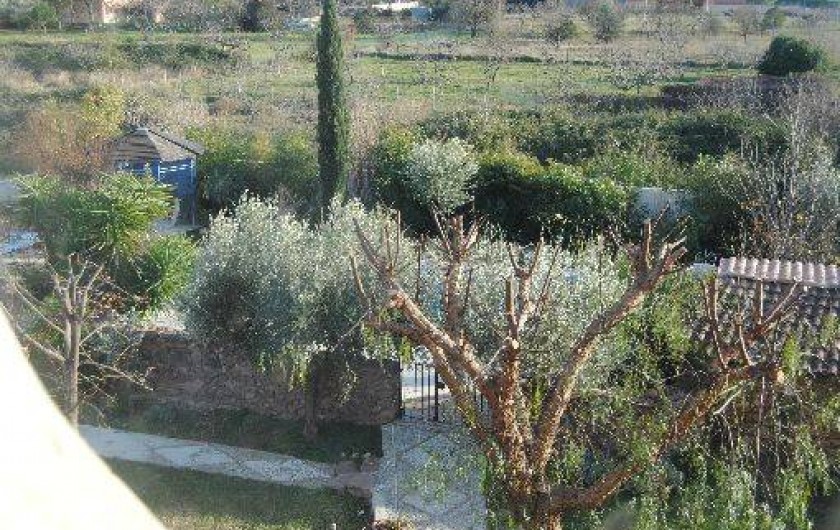 Location de vacances - Maison - Villa à Solliès-Pont