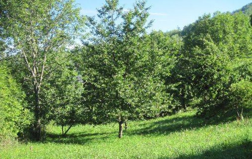 Location de vacances - Maison - Villa à Arrien-en-Bethmale - Le verger l'été.