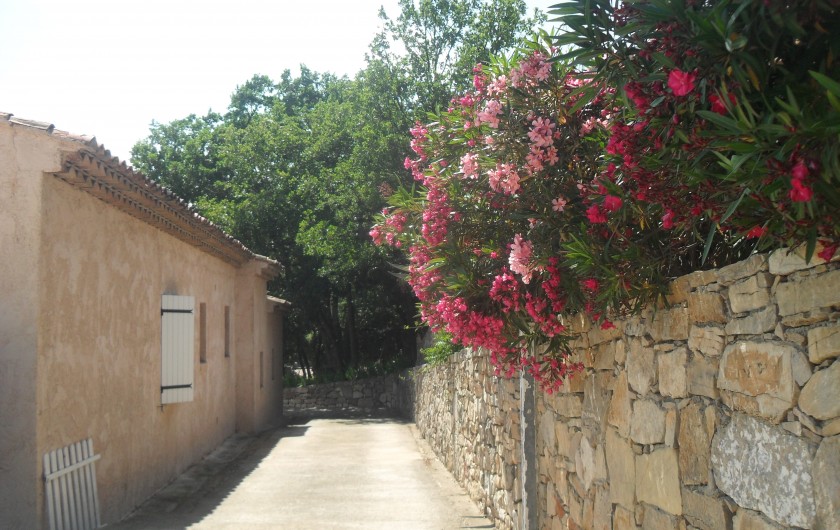 Location de vacances - Villa à Cabasse - derrière de la villa