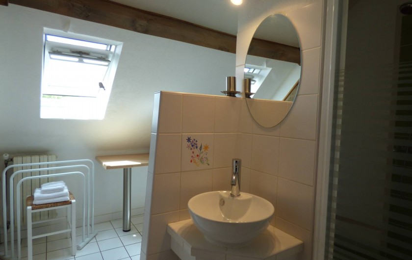 Location de vacances - Chambre d'hôtes à Colombies - salle de douche de la chambre verte: douche, lavabo et WC