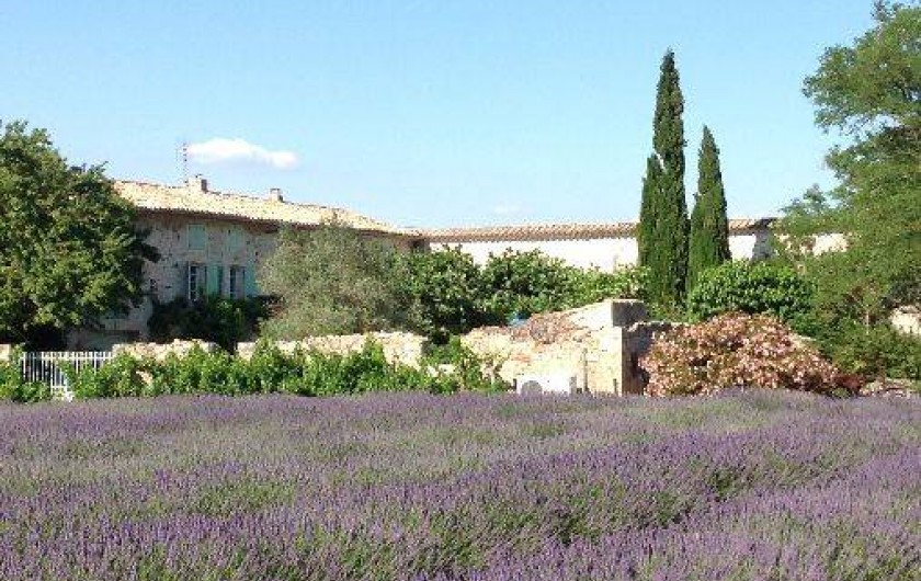 Location de vacances - Mas à Saint-Paul-Trois-Châteaux