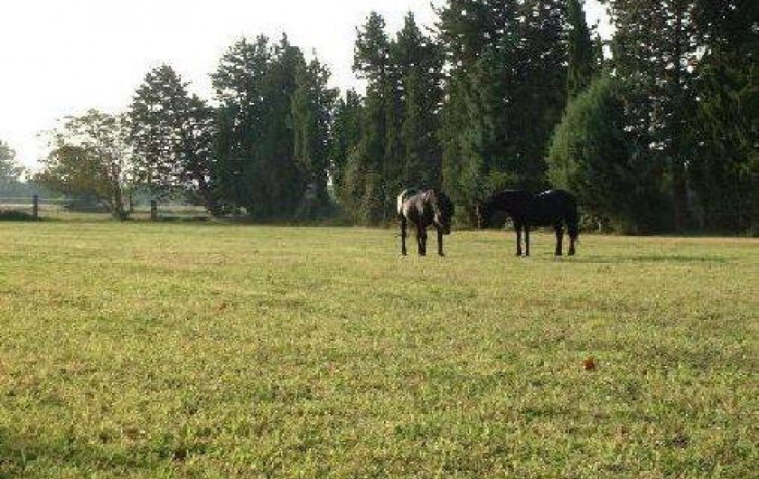 Location de vacances - Gîte à Monteux