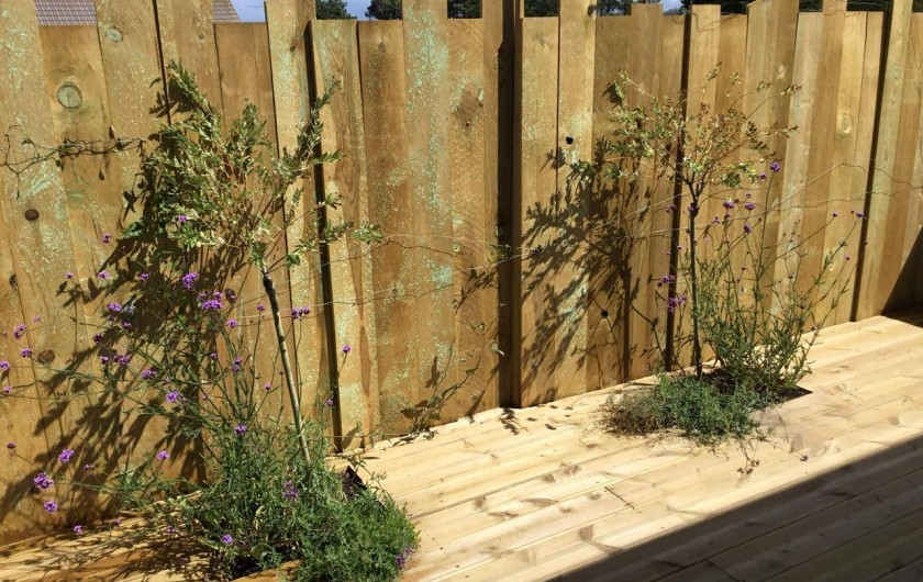 Location de vacances - Appartement à Pirou - Terrasse arrière