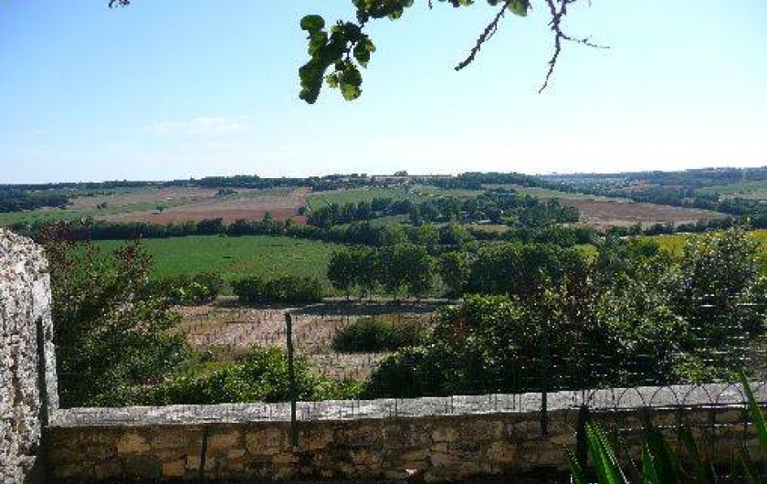 Location de vacances - Gîte à Tournecoupe
