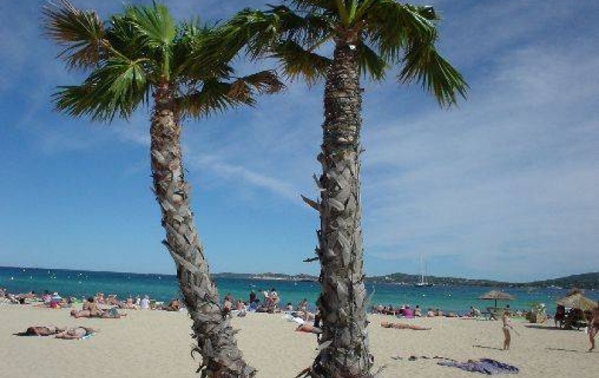 Location de vacances - Camping à Grimaud